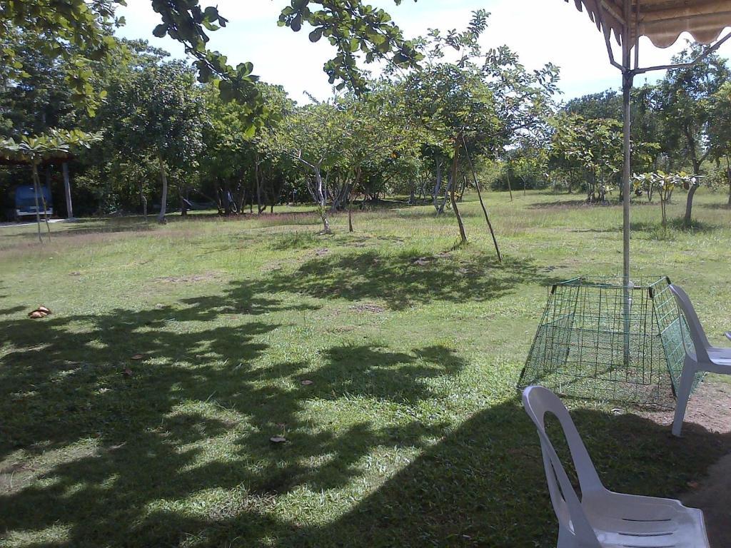 Ladaga Inn & Restaurant Panglao Esterno foto